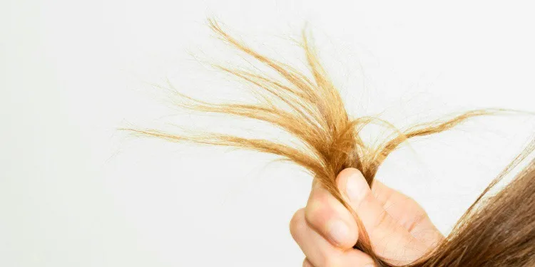 Dry greasy roots ends what to do to restore hair balance