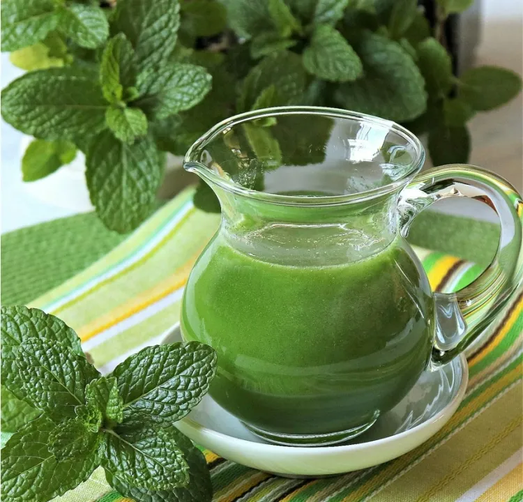 homemade mint syrup recipe hybrid water mint spearmint