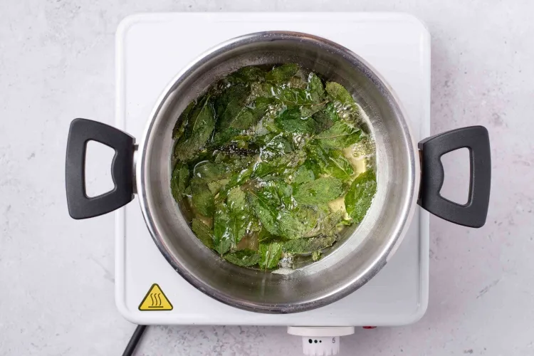 recette sirop de menthe maison rassembler ingrédients verser eau casserole porter ébulition