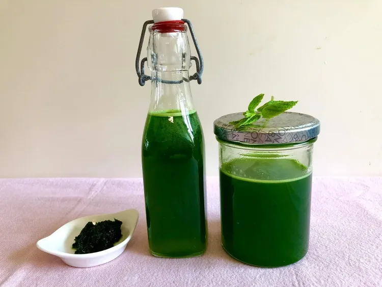 The benefit of the homemade mint syrup recipe improves the health of well-being