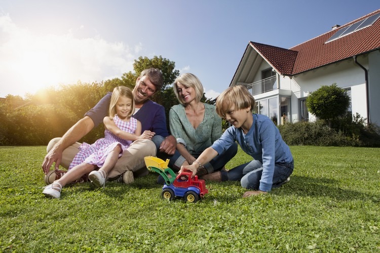 rénover pelouse abîmée printemps été apport en engrais