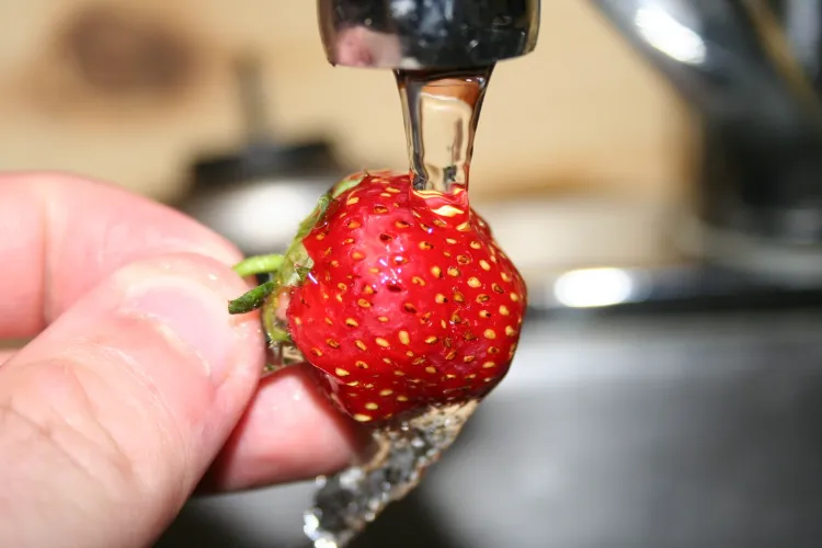 rincez des fraises à l'eau