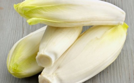 semer les endives état cru croquantes amères excellent goût salades