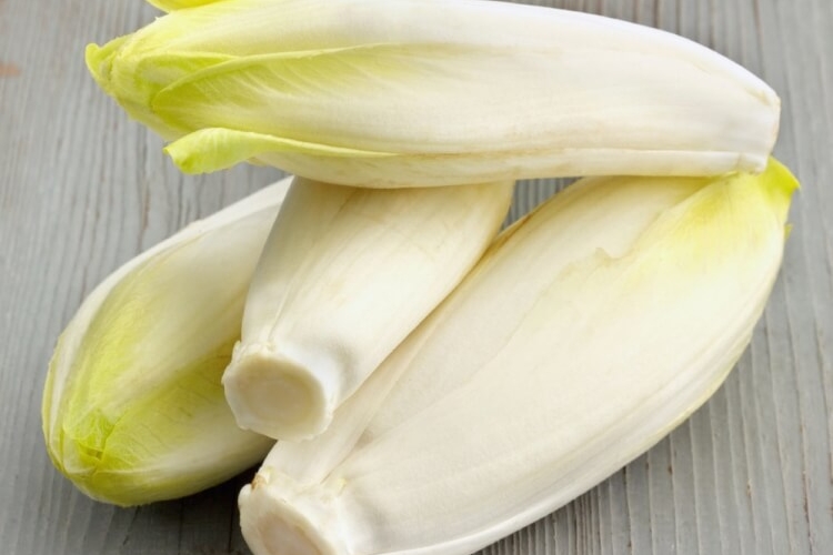 semer les endives état cru croquantes amères excellent goût salades