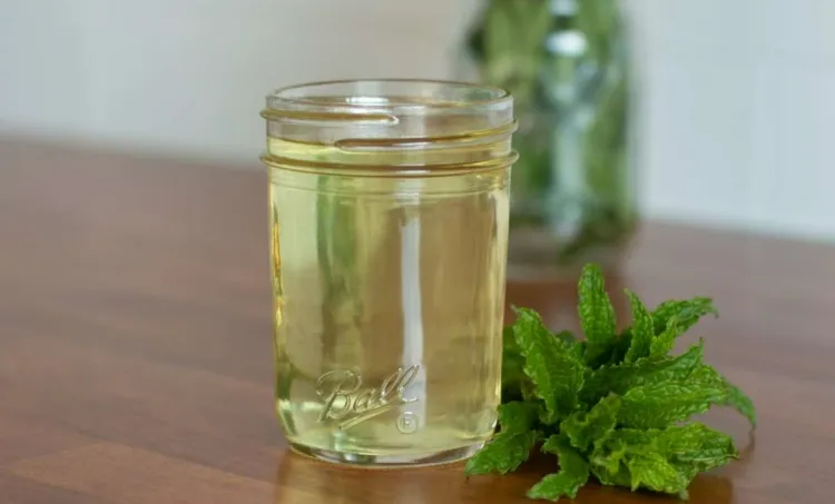 homemade mint syrup useful recipe sweeten add flavor drinks all kinds