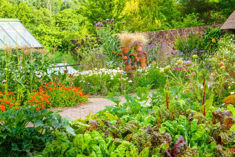 top 5 des légumes perpétuels du potager