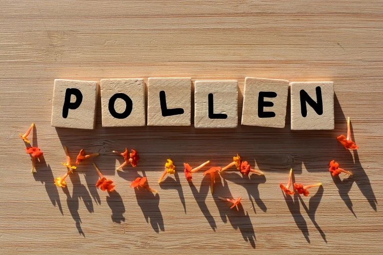 allergies au pollen mythes