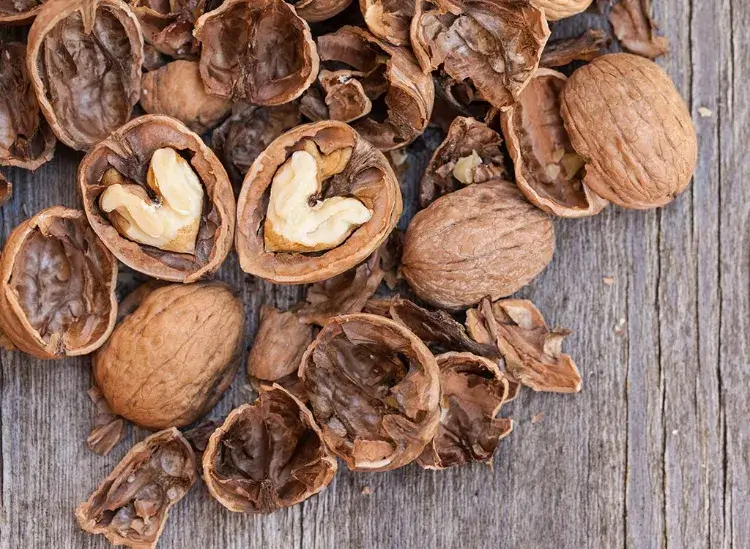 bienfaits des noix pour la santé cardiaque pourquoi inclure menu coeur sain