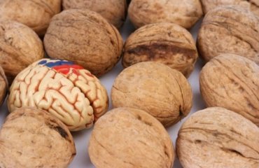 bienfaits des noix pour la santé du cerveau pourquoi inclure fruit coque menu