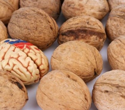 bienfaits des noix pour la santé du cerveau pourquoi inclure fruit coque menu