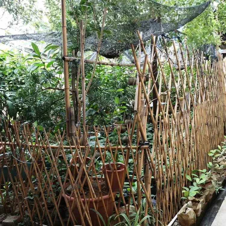 brise-vue jardin bois tresser hauts poteaux bambou ensemble créer treillis