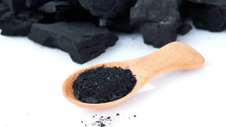 charbon végétal nature poreuse grande capacité adsorption