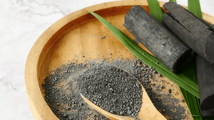 charbon végétal plusieurs matières premières organiques entrent composition