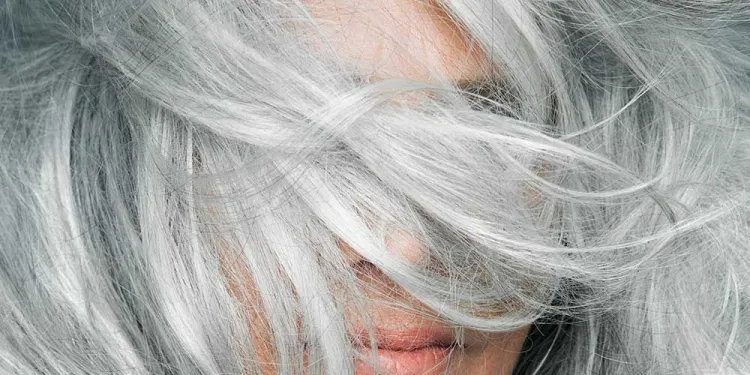 cheveux gris carence cuivre pollution environnementale abus alcool tabagisme