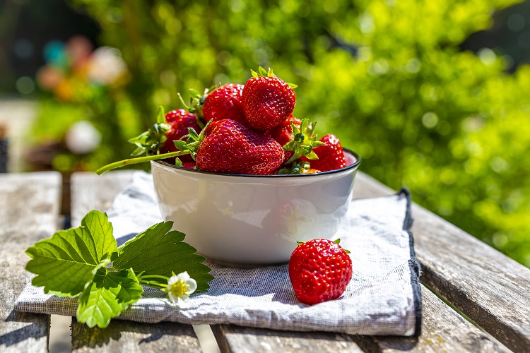 comment booster le rendement de fraisiers production recolte fraises été 2022 jardin