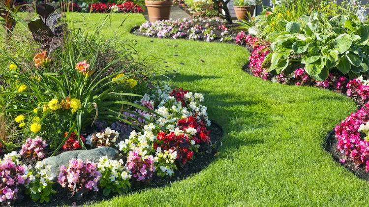 comment délimiter son jardin idée décoration bordure de jardin fleurs 