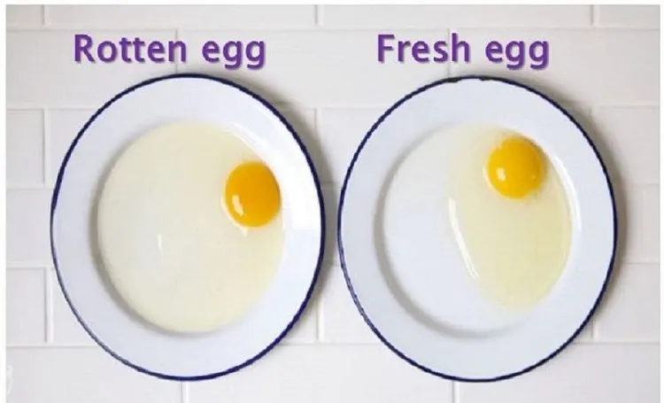 comment savoir si les œufs sont bons