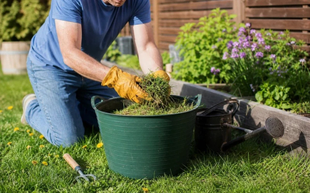 comment utiliser les tontes de gazon