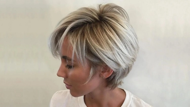 coupe Pixie Bob cheveux gris