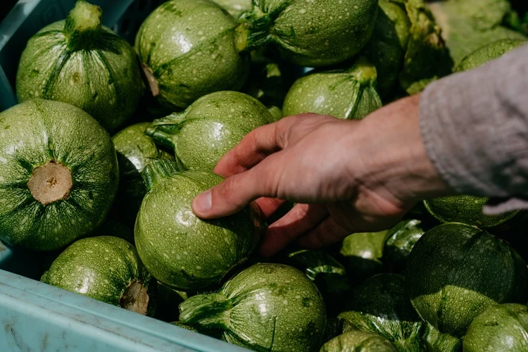 courgettes pour perdre du poids