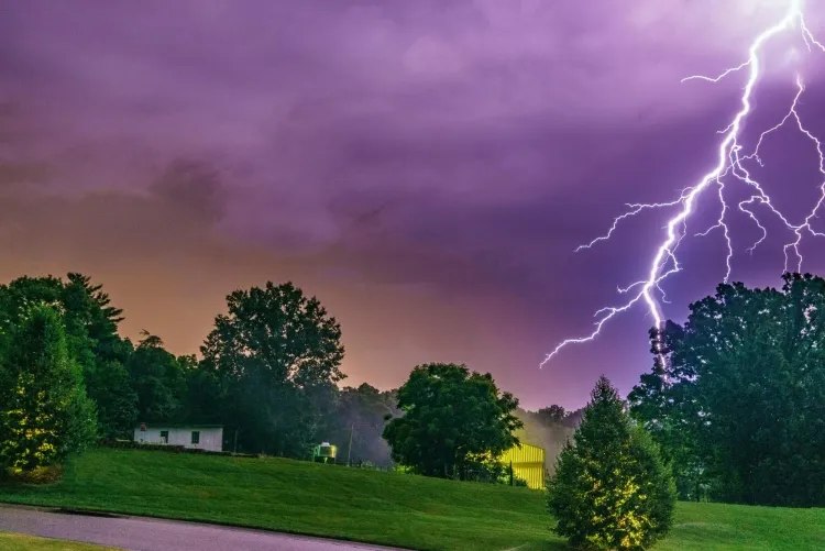 in case of a storm what to do large tree attracts lightning convey house