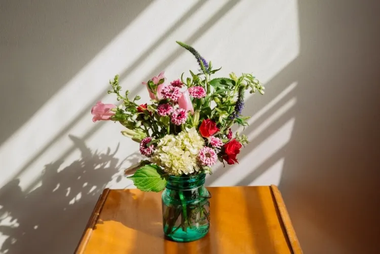 fleurs en vase conservation astuces