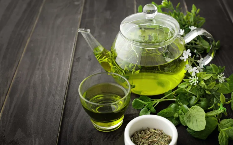 Green tea eliminates appetite for weight loss