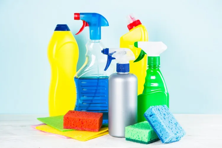 List of things to avoid during pregnancy Toxic household chemical products