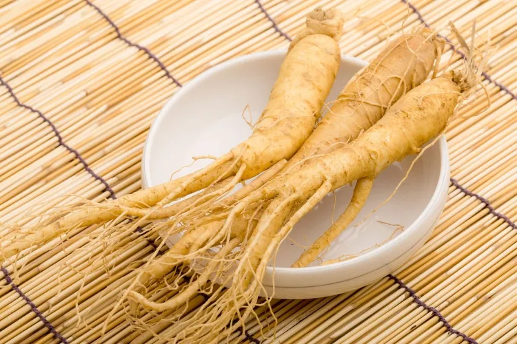 plants after pregnancy ginseng roots