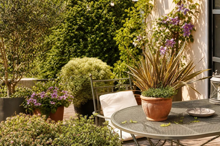 plantes pour terrasse ensoleillée bonne combinaison arbres plantes offrant ombre intimité