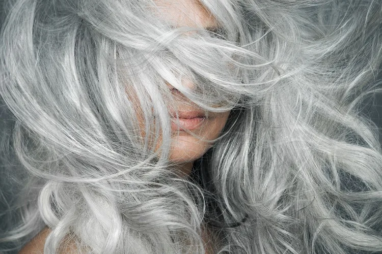 Why is gray hair dull?