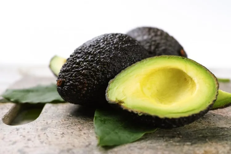 quels aliments pour perdre du poids consommer avocado saumon fruits mer noix
