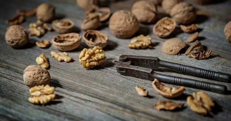 quels sont bienfaits des noix pour la santé cerveau coeur intestin homme