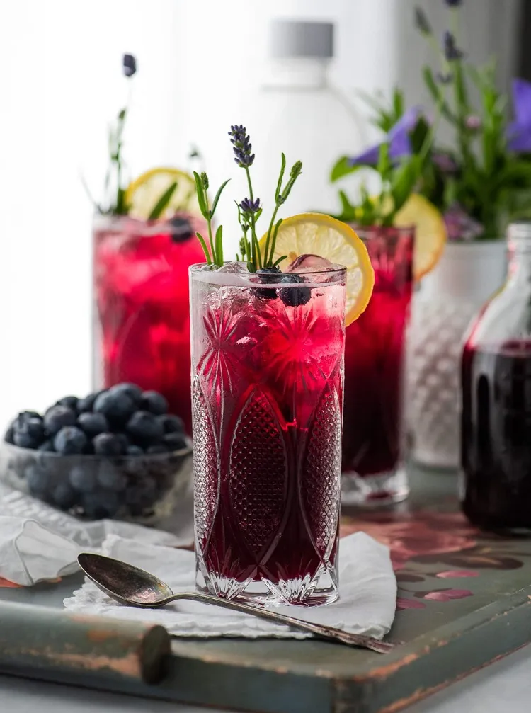 refreshing drink with red fruits