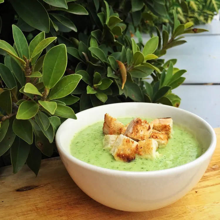 thermomix summer 2022 cold zucchini soup