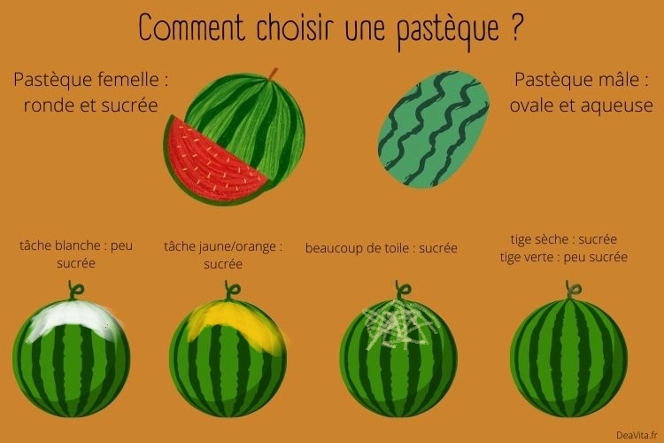 Comment choisir une pastèque