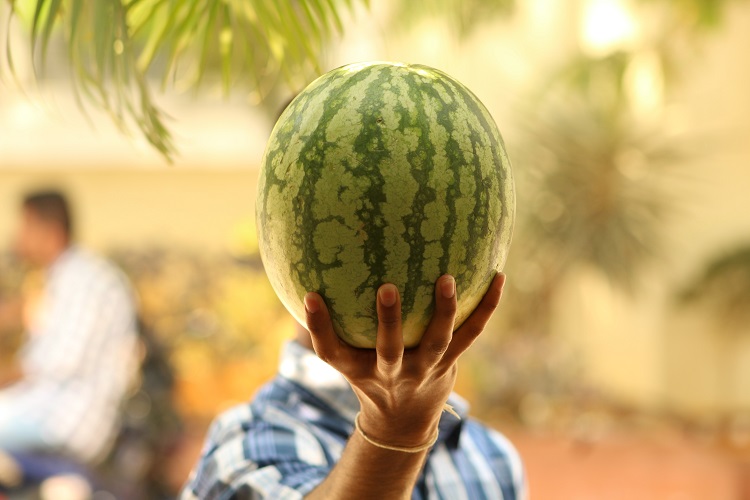 Comment choisir une pastèque