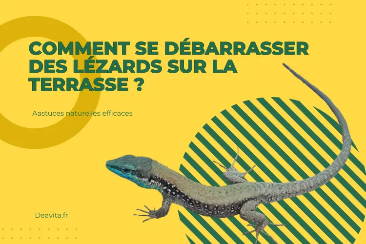 comment se débarrasser des lézards sur la terrasse et le balcon naturellement