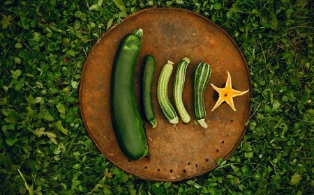 Peut on manger la courgette crue