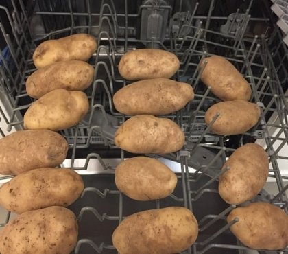 Pommes de terre dans le lave vaisselle