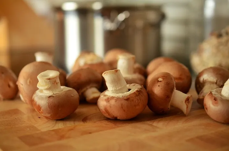 Quel substrat pour les champignons de Paris