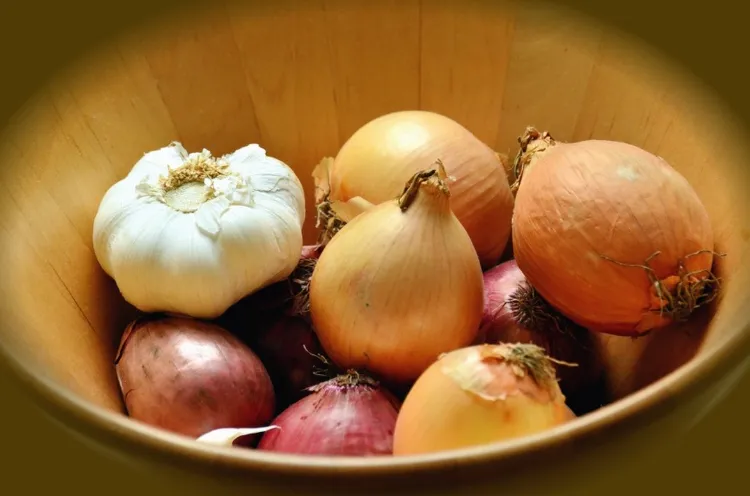 Légumes qui n'ont pas besoin d'eau