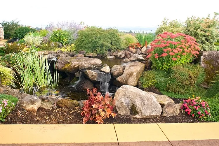 aménagement extérieur jardin rocaille japonais moderne en pente avec bassin 