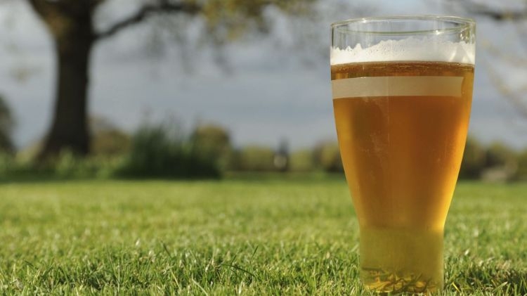 astuce pour faire repartir le gazon la bière