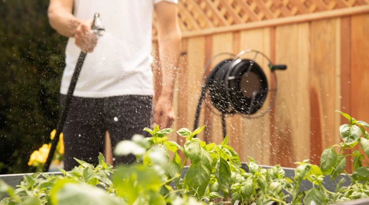 astuces naturelles pour protéger ses plantes jardin potager de la canicule été 2022