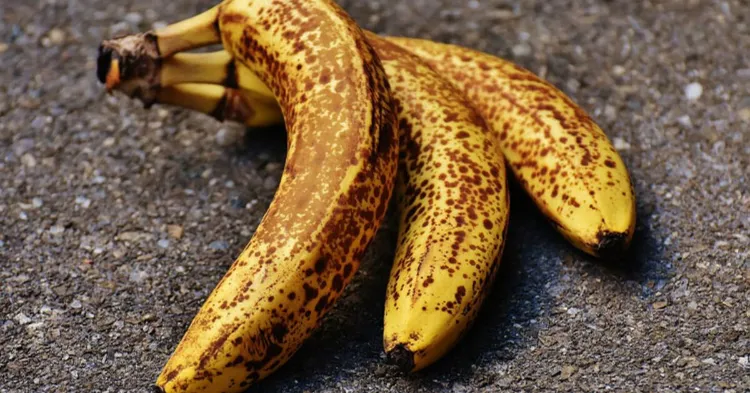 bananes noicies au frigo 2022