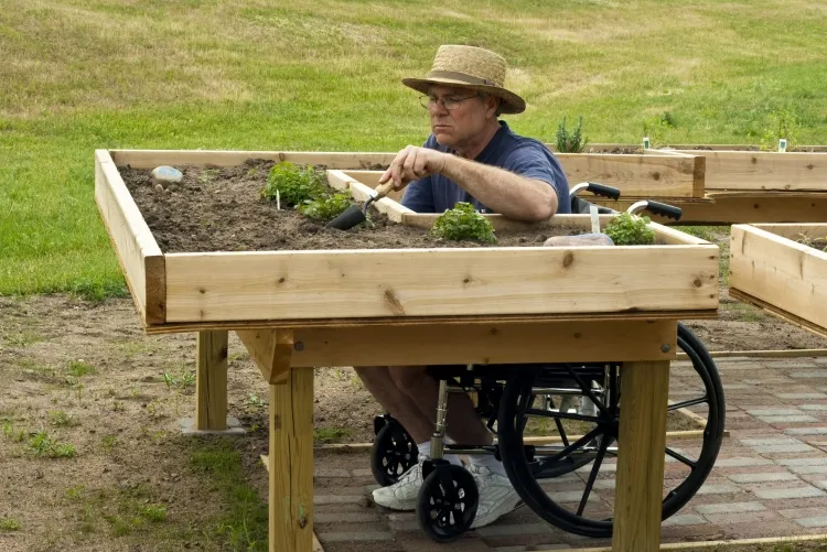 bienfaits du jardinage conditions médicales handicaps physiques restreindre empêcher personnes âgées travailler