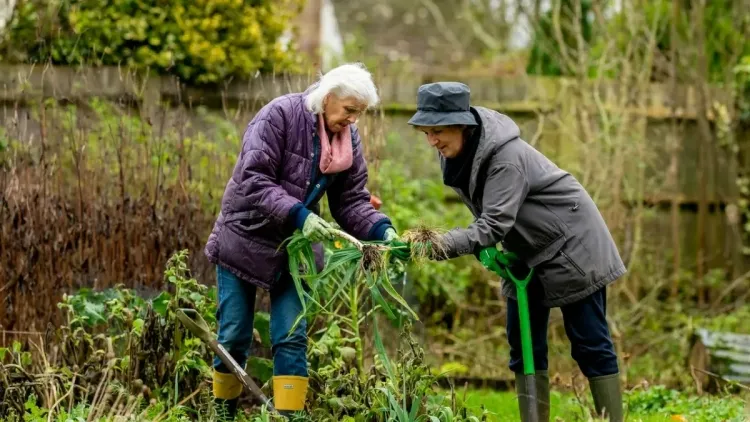 bienfaits du jardinage présenter nombreux avantages thérapeutiques personnes âgées