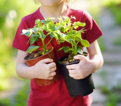 comment arroser vos plantes avant de partir en vacances en 2022