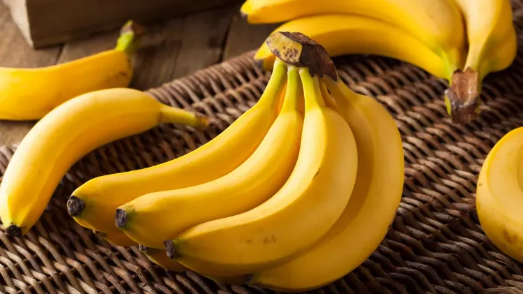 comment bien conserver les bananes 2022 